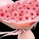 Pembe Gerberalar 41 Adet  BKT0126 - Görsel 2