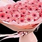 Pembe Gerberalar 41 Adet  BKT0126